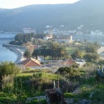 Island Vis