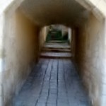 Gallery Vis