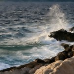 Gallery Vis