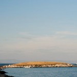 Gallery Vis